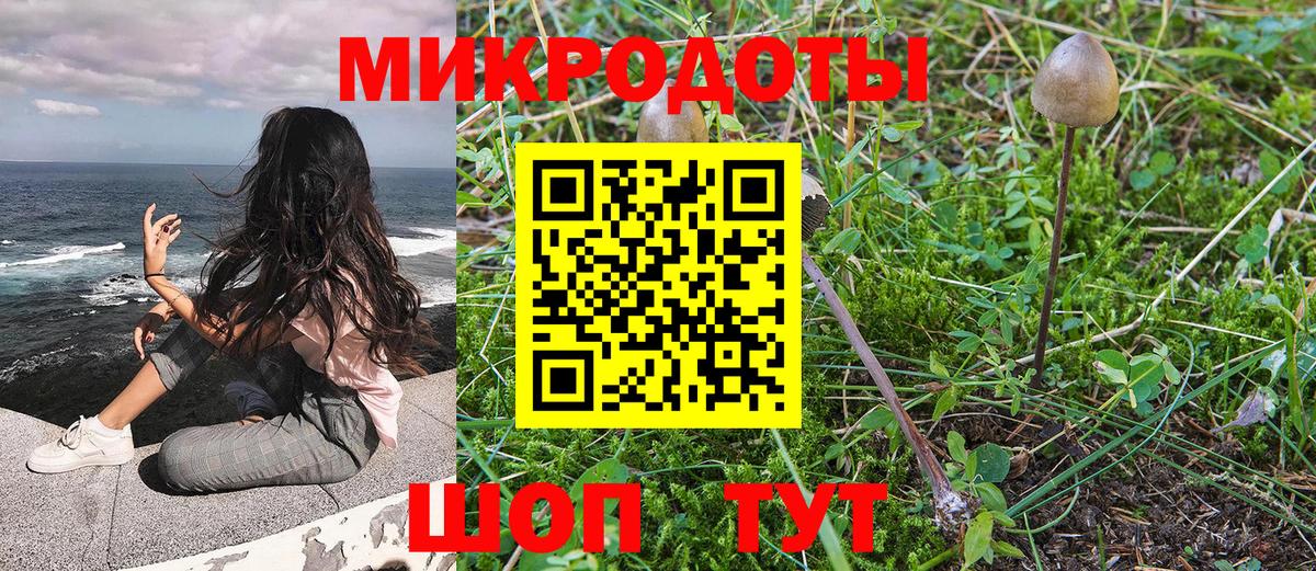Псилоцибиновые грибы Psilocybine cubensis Михайловск